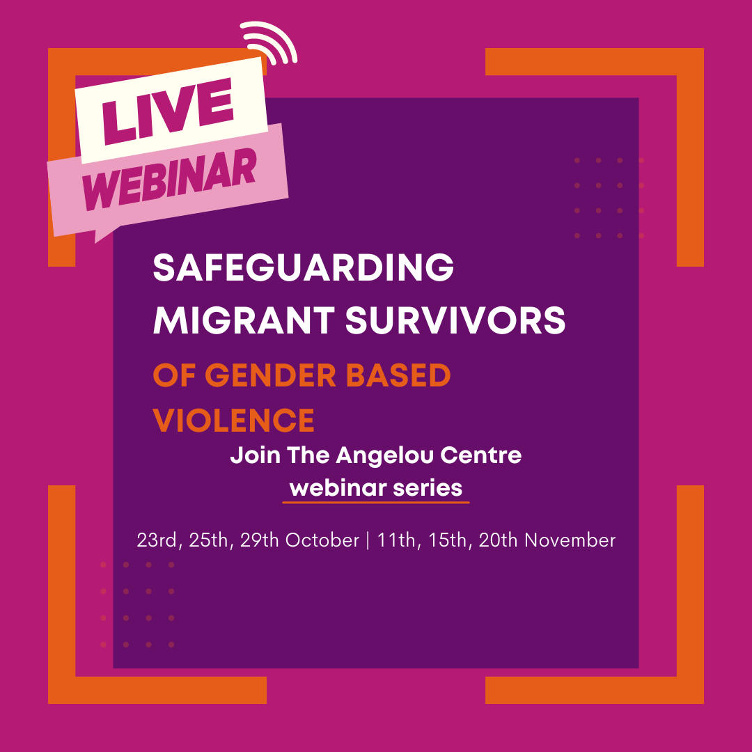 Training: Safeguarding Migrant Survivors of Gender-Based Violence (GBV)